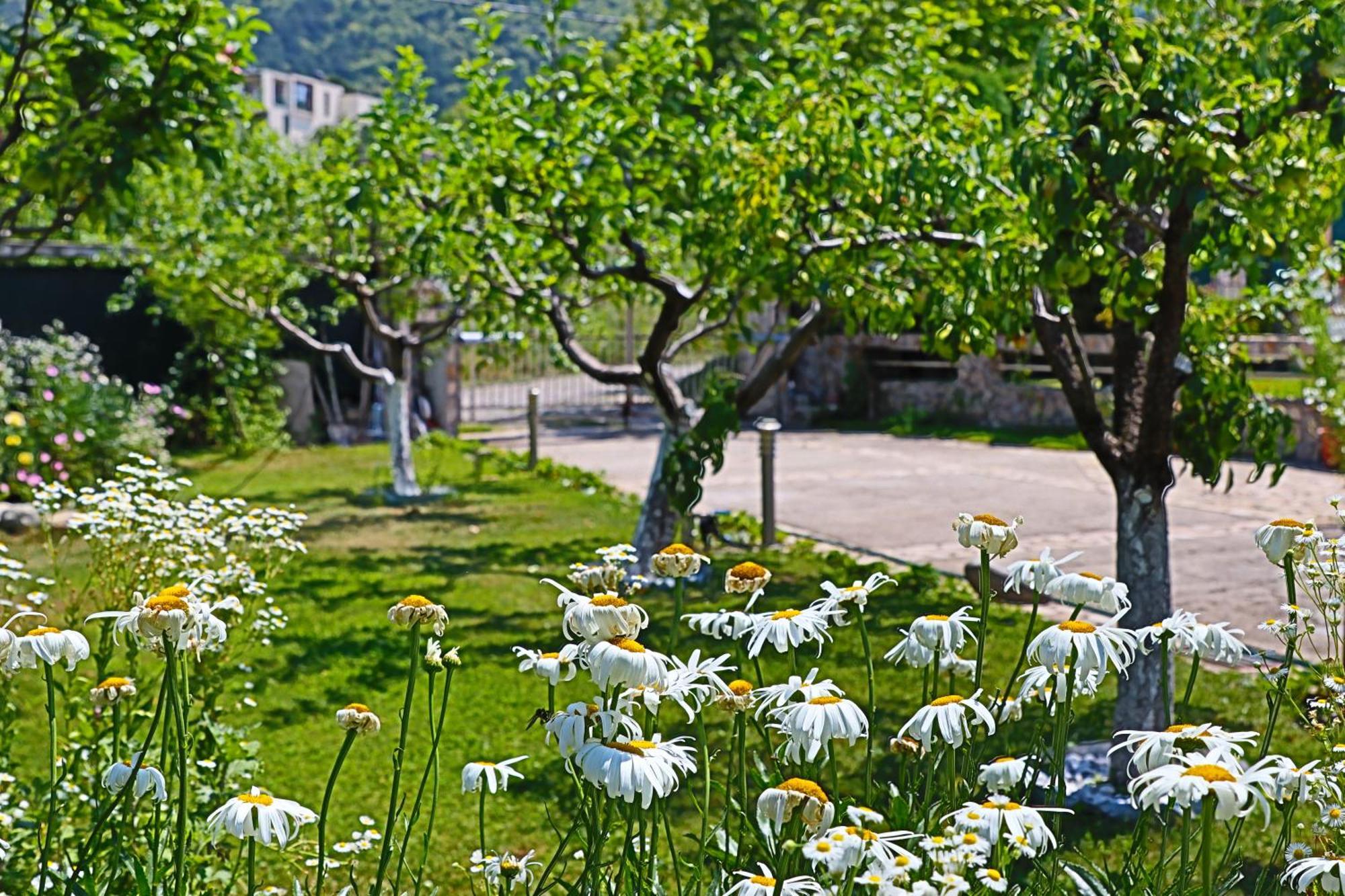 Holiday House Kubrat Saparewa Banja Zewnętrze zdjęcie